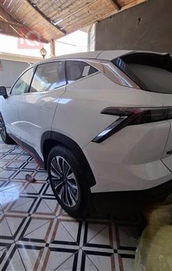 جيتور داشينج